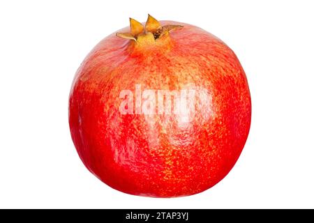 Fruit rouge mûr isolé sur fond blanc. Photo studio macro grenade. Le fichier contient un chemin de détourage. Banque D'Images