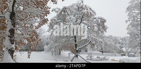 Garham, Allemagne. 02 décembre 2023. Arbres enneigés sur une place de village. Dans la nuit du 2 décembre 2023, de fortes chutes de neige ont frappé la Bavière ; plus de 15 à 25 cm de neige sont tombés en une journée. Les mêmes chutes de neige sont attendues dans les prochains jours. En raison de la grande quantité de neige qui est tombée, il y a eu des coupures de courant tout au long de la journée. Les autorités bavaroises mettent en garde contre les dangers des chutes de neige sur les routes. (Photo Igor Golovniov/SOPA Images/Sipa USA) crédit : SIPA USA/Alamy Live News Banque D'Images