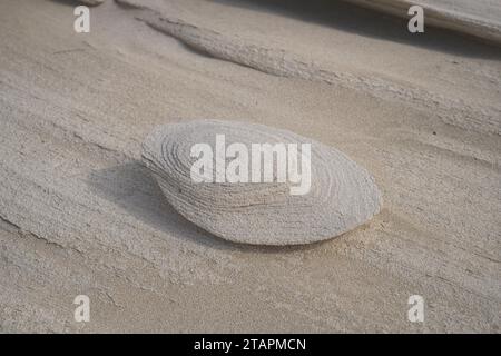 Dunes fossiles d'Al Wathba, merveilles de grès sculptées par le vent, merveille artistique de la nature dans le sable et le calcium. Abu Dhabi, Émirats arabes Unis Banque D'Images