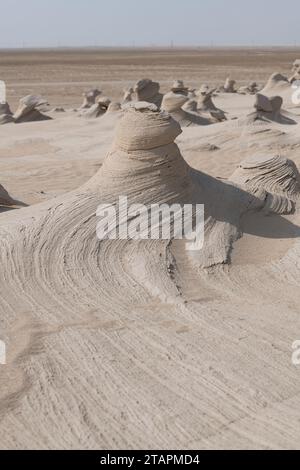 Dunes fossiles d'Al Wathba, merveilles de grès sculptées par le vent, merveille artistique de la nature dans le sable et le calcium. Abu Dhabi, Émirats arabes Unis Banque D'Images
