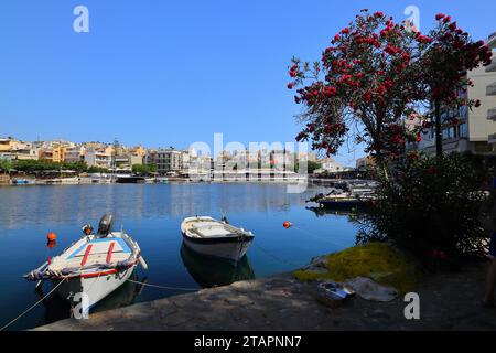 Petits bateaux amarrés au lac Voulismeni à Saint Nicolas, Crète, Europe. Banque D'Images