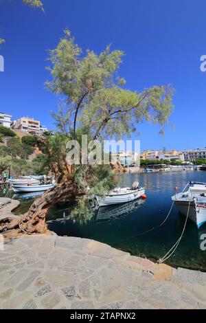 Petits bateaux amarrés au lac Voulismeni à Saint Nicolas, Crète, Europe. Banque D'Images