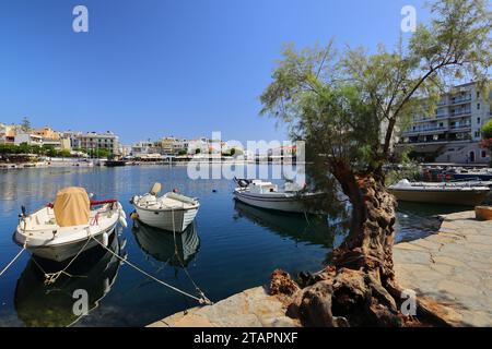 Petits bateaux amarrés au lac Voulismeni à Saint Nicolas, Crète, Europe. Banque D'Images