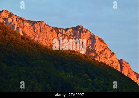 La crête sommitale de la montagne Traunstein en été dans le soleil du soir, en face de lui la forêt de la Grünberg, Gmunden, Salzkammergut Banque D'Images