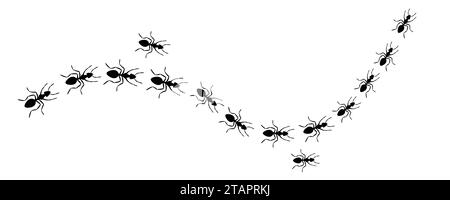 Illustration vectorielle de conception de style plat de fourmis de travailleurs isolée sur fond blanc. Vue de dessus du sentier de route fourmis bug marchant dans la rangée de ligne. Illustration de Vecteur