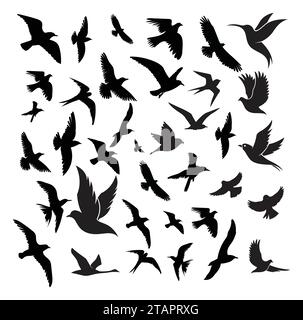 Silhouettes d'oiseaux volants sur fond blanc. Illustration vectorielle. vol d'oiseau isolé. motif tatouage. Illustration de Vecteur