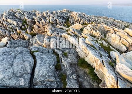 Les formations géologiques (roches côtières) sur l'île de Virgen del Mar, résultat de l'érosion et des intempéries. Cantabrie, Espagne. Banque D'Images