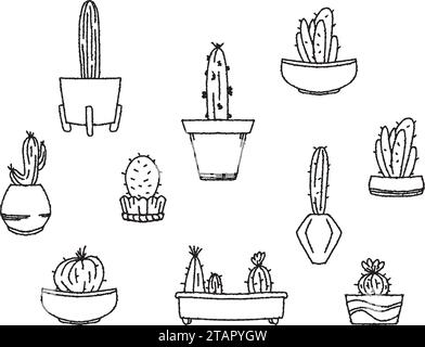 Ensemble de cactus dans un pot de doodle sur un fond transparent. Ligne de plantes exotiques dans la maison. Croquis Doodle Illustration de Vecteur