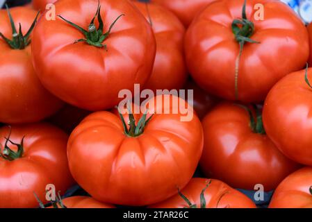 Tomates à la viande (Slanum lycopersicum), stalle de légumes, Portobello Road, Portobello Market, Notting Hill, Londres, région de Londres, Angleterre, Royaume-Uni Banque D'Images