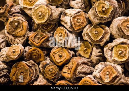 Persimmon sec au soleil comme un fruit sec Banque D'Images