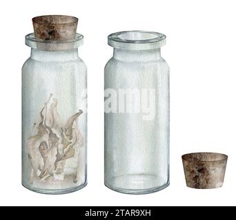 Ensemble de bocal en verre, vase avec bouchon en bois, couvercle. Clipart dessiné à la main aquarelle isolé sur fond blanc. ensemble de béchers pour la biologie et la médecine Banque D'Images