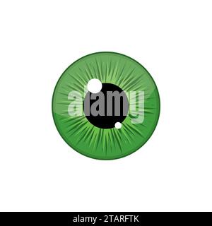 Pupille d'iris de globe oculaire vert humain isolée sur fond blanc. Illustration vectorielle oculaire Illustration de Vecteur