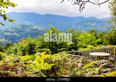 Voyage à la Géorgie - vue sur la montagne depuis le vieux cimetière d'erge sur la montagne dans la ville de Batumi le jour ensoleillé d'automne Banque D'Images