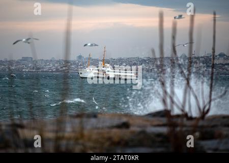 Istanbul, Turquie. 02 décembre 2023. Mouettes vues voler au-dessus du ferry des lignes de la ville passant derrière les vagues frappant les rochers à la plage de Moda. En raison du vent du sud-ouest affectant Istanbul, de hautes vagues ont été observées sur la côte de Moda. (Photo Onur Dogman/SOPA Images/Sipa USA) crédit : SIPA USA/Alamy Live News Banque D'Images