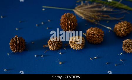 Fond de Noël de pommes de pin sur fond bleu Banque D'Images