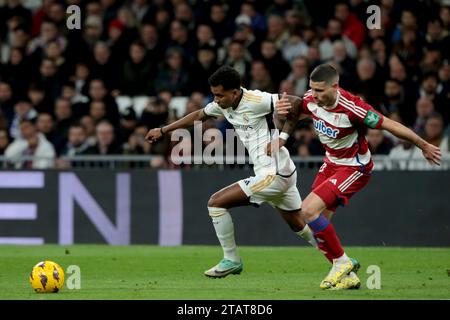 Madrid, Espagne. 02 décembre 2023. Madrid Espagne ; 02.12.2023.- Rodrigo Goes Real Madrid joueur du Real Madrid bat Grenade 2-0 lors de la journée 15 du football espagnol. Avec des buts de Brahim Díaz 26' et Rodrigo Goes 57', le Real Madrid bat Grenade au stade Santiago Bernabéu dans la capitale du Royaume d'Espagne lors du 15e match de la Ligue espagnole. Crédit : Juan Carlos Rojas/dpa/Alamy Live News Banque D'Images