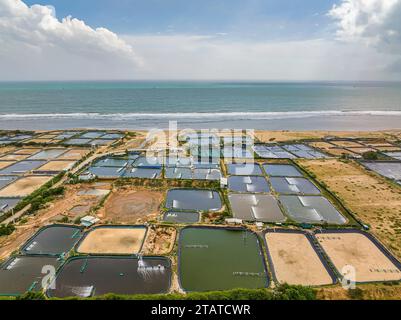 Fermes de crevettes vue aérienne dans le Ninh Thuan, Vietnam Banque D'Images