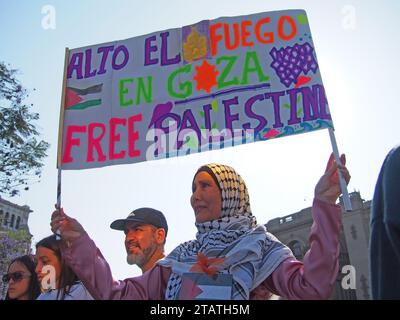 Lima, Pérou. 02 décembre 2023. "Cessez le feu à Gaza, Palestine libre" peut être lu sur un panneau lorsque des dizaines de personnes descendent dans les rues de Lima dans le cadre des activités de la Journée internationale de solidarité avec le peuple palestinien, célébrée chaque 29 novembre Credit : Agence de presse Fotoholica/Alamy Live News Banque D'Images