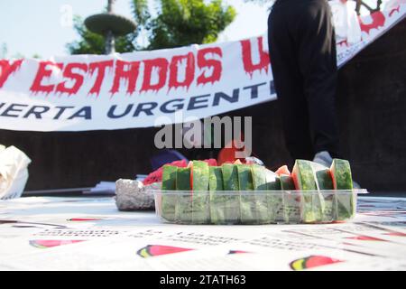 Lima, Pérou. 02 décembre 2023. Des morceaux de pastèque, le fruit qui symbolise la résistance palestinienne, et des drapeaux, sont offerts aux passants lorsque des dizaines de personnes descendent dans les rues de Lima dans le cadre des activités de la Journée internationale de solidarité avec le peuple palestinien, célébrée chaque 29 novembre crédit : Agence de presse Fotoholica/Alamy Live News Banque D'Images