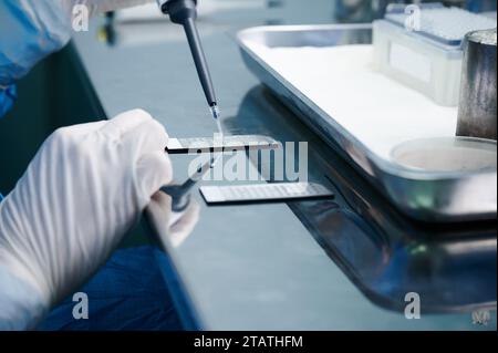 Un spécialiste de laboratoire travaille avec une lame en plastique et une lampe à alcool Banque D'Images