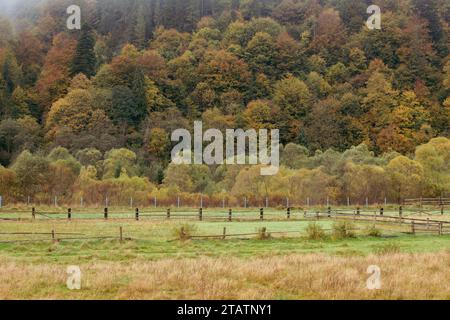 Pâturage dans les montagnes d'automne. Vallée des Carpates dans le brouillard matinal. Prairie derrière clôture en bois dans la forêt, Ukraine. Banque D'Images