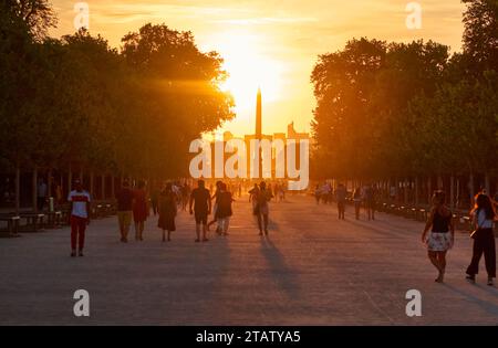 Soirée dans les jardins de la Tuillerie, Paris Banque D'Images