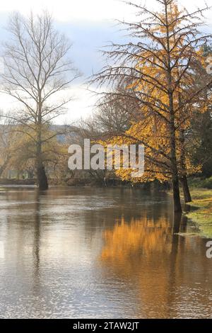 La Roque-Gageac, France. 2 décembre 2023. Après la sécheresse estivale, les pluies de novembre viennent d’élever le niveau des rivières françaises qui débordent souvent de leurs berges. Ici, la Dordogne, à la Roque-Gageac en Périgord Noir, est haute alors que pendant l'été son niveau était très bas. Le village de la Roque-Gageac est l'un des plus beaux villages de France. La Roque-Gageac, Périgord, Dordogne, France, Europe. Photo Hugo Martin/Alamy Live News. Banque D'Images