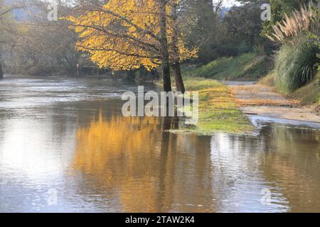 La Roque-Gageac, France. 2 décembre 2023. Après la sécheresse estivale, les pluies de novembre viennent d’élever le niveau des rivières françaises qui débordent souvent de leurs berges. Ici, la Dordogne, à la Roque-Gageac en Périgord Noir, est haute alors que pendant l'été son niveau était très bas. Le village de la Roque-Gageac est l'un des plus beaux villages de France. La Roque-Gageac, Périgord, Dordogne, France, Europe. Photo Hugo Martin/Alamy Live News. Banque D'Images