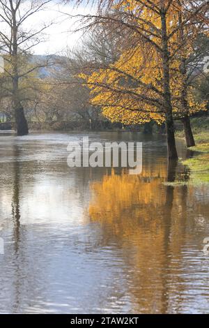 La Roque-Gageac, France. 2 décembre 2023. Après la sécheresse estivale, les pluies de novembre viennent d’élever le niveau des rivières françaises qui débordent souvent de leurs berges. Ici, la Dordogne, à la Roque-Gageac en Périgord Noir, est haute alors que pendant l'été son niveau était très bas. Le village de la Roque-Gageac est l'un des plus beaux villages de France. La Roque-Gageac, Périgord, Dordogne, France, Europe. Photo Hugo Martin/Alamy Live News. Banque D'Images