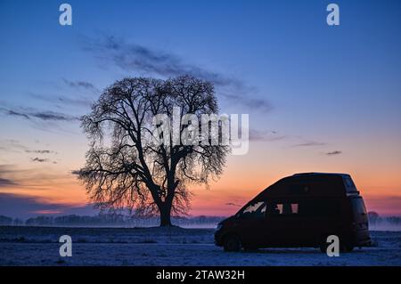 Lietzen, Allemagne. 01 décembre 2023. Le ciel du soir s'illumine au coucher du soleil sur un champ avec un seul arbre. Un camping-car (Volkswagen T6 Camper) est stationné devant lui. Crédit : Patrick Pleul/dpa/Alamy Live News Banque D'Images