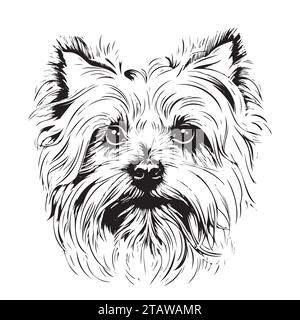 Portrait d'esquisse de mignon yorkshire terrier Vector Illustration de Vecteur