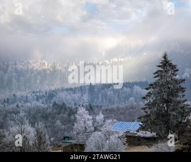 L'hiver approche. Scène pittoresque avant le lever du soleil au-dessus de la fin de l'automne campagne de montagne avec du givre sur les herbes, les arbres, les pentes. Lumière du soleil de fées paisible Banque D'Images