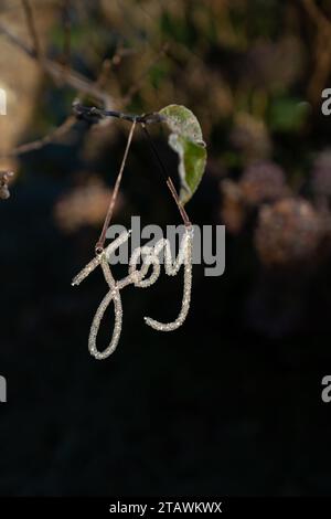 Joie hivernale. Décoration pailletée accrochée à l'extérieur sur un arbre par une matinée glaciale dans le jardin Banque D'Images