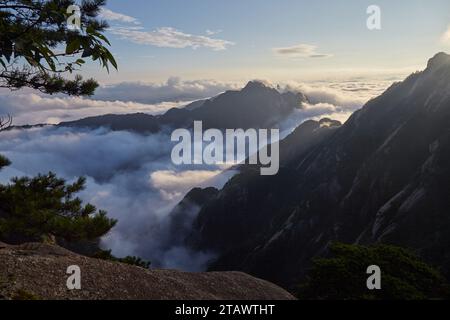 Les pics de granit pittoresques de Huangshan dans la province d'Anhui, en Chine Banque D'Images