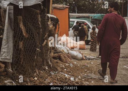 Une photo montrant un endroit avec une pauvreté extrême et la faim. Banque D'Images