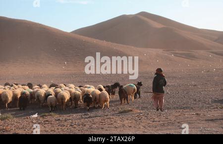 Berger et moutons dans un village. Banque D'Images