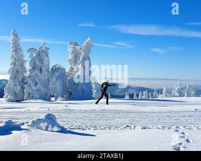 Feldberg Themenbild - Wintersport, Skifahren, Skispass auf dem Feldberg, Saisoneröffnung, Skiopening, Saisontart 2023/2024 Themenbild - Wintersport, Skifahren, Skispass auf dem 1493 Feldberg, Saisoneröffnung, Skiopening, Saisontart 2023/2024 Weitblick auf den Feldbergturm Winterwinterwetersaturm Winterwinterland, Saisoneröffnung Der Feldberg ist der höchste Gipfel des Schwarzwaldes. *** Feldberg image thème sports d'hiver, ski, ski amusant sur le Feldberg, ouverture de la saison, ouverture du ski, début de la saison 2023 Banque D'Images