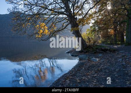 Couleurs automnales à Glencoyne Bay Ullswater, le Lake District anglais, Royaume-Uni Banque D'Images