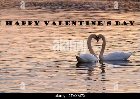 Carte bannière de bonne Saint Valentin. Deux cygnes amoureux en forme de cœur au coucher du soleil. Copiez l'espace pour plus de positionnement du texte. Banque D'Images