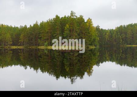Reflets de la forêt de conifères sur un lac sauvage, journée nuageuse calme Banque D'Images