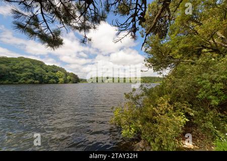 Loe Pool, le plus grand lac d’eau douce naturel de Cornwall, vue au nord-ouest vers Helston Lodge depuis Degibna Wood, Penrose, près de Porthleven, The Lizard, Cornwall, Banque D'Images