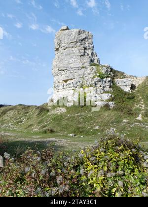 Nicodemus Knob, un pilier rocheux de 10 m de haut provenant de la carrière de Portland Stone aux Amiralty Quarries, Grove, île de Portland, Dorset, Royaume-Uni, octobre Banque D'Images