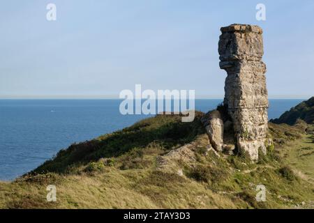 Nicodemus Knob, un pilier rocheux de 10 m de haut provenant de la carrière de Portland Stone aux Amiralty Quarries, Grove, île de Portland, Dorset, Royaume-Uni, octobre Banque D'Images