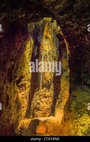 Unterirdische Wurzel, Versritte Eichenwurzel, Feengrotten, Saalfeld, Thüringen, Deutschland *** racine souterraine, racine de chêne fritté, Feengrotten, Saalfeld, Thuringe, Allemagne crédit : Imago/Alamy Live News Banque D'Images