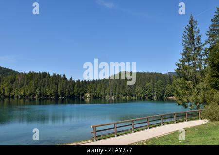 Une clôture en bois au bord du lac Lago Inferiore di Fusine entouré de forêt Banque D'Images