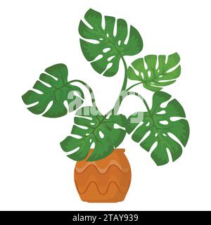 Monstera plante en pot sur fond blanc. Plante d'intérieur décorative. Usine de bureau et d'habitation. Illustration vectorielle Illustration de Vecteur