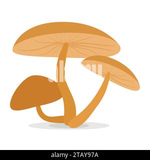 Icône vectorielle de dessin animé de champignons isolée sur fond blanc. Champignon comestible ou non comestible. Illustration de Vecteur