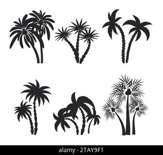 Différents palmiers définissent des silhouettes isolées sur fond blanc. Illustration vectorielle d'icônes de plantes tropicales noires. Plantes de jungle de forêt tropicale. Été Illustration de Vecteur