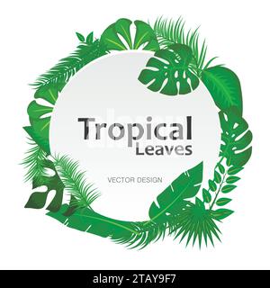 Fond de feuilles tropicales avec signe rond blanc avec bannière de cadre d'espace de texte. Convient pour le concept de la nature, les vacances et les vacances d'été. Illustration de Vecteur