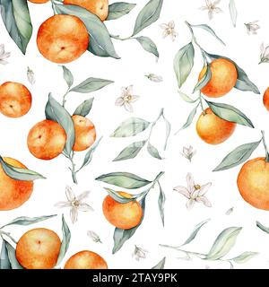 Motif sans couture avec branches de fruits orange, feuilles vertes et fleur blanche. Illustration à l'aquarelle dessinée à la main de la nourriture d'agrumes pour la conception textile Banque D'Images